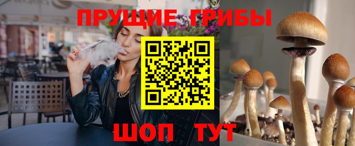 Сочи  Псилоцибиновые грибы прущие грибы  Вход с VPN 